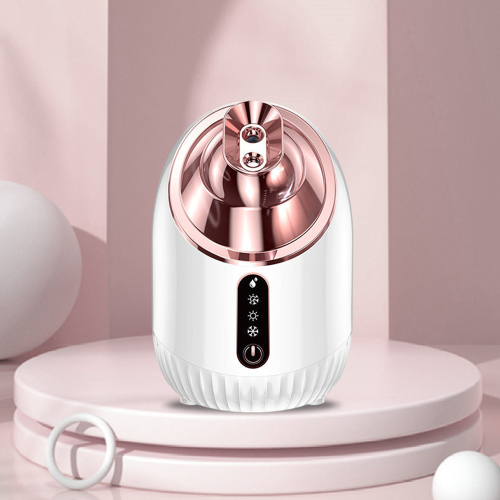Facial Steamer Cold & Warm Mis - đánh giá và giá Face Steamer